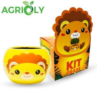 Bộ Cỏ Lúa Mì Tự Trồng Grass Kit Hình Sư Tử
