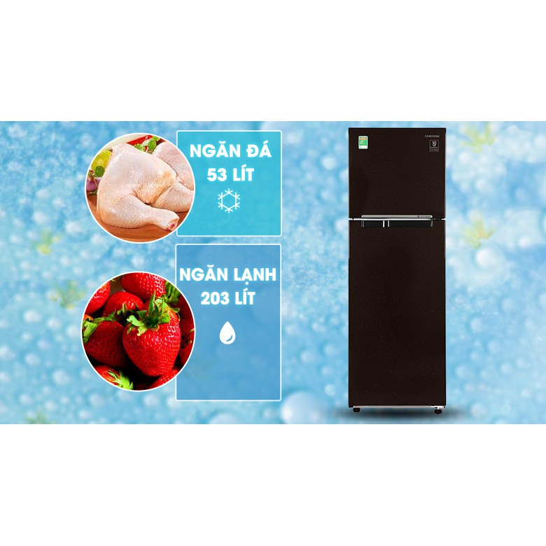 Tủ lạnh Samsung Inverter 256 lít RT25M4032BY/SV (Miễn phí giao tại HCM-ngoài tỉnh liên hệ shop)