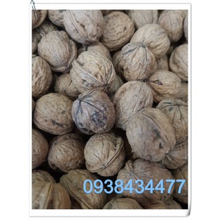 QUẢ ÓC CHÓ ĐỎ MỸ 500gr