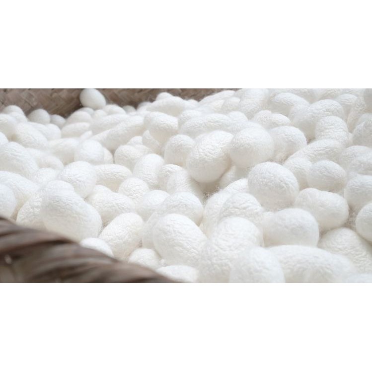 Kén tằm The Cocoon Lam Dong 30pcs | BigBuy360 - bigbuy360.vn