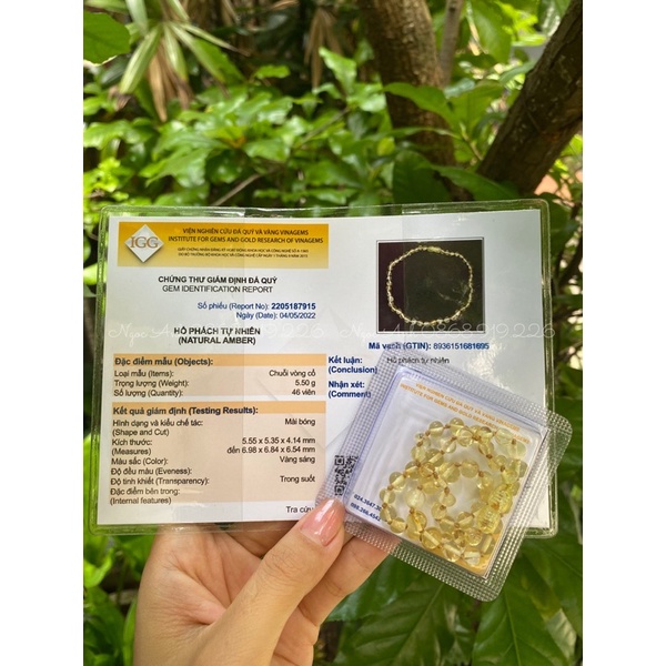 VÒNG Amber ho_phach Pháp màu vàng chanh_Thiên nhiên 100%