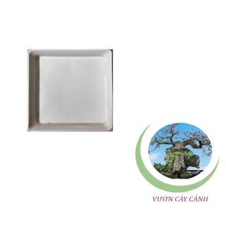 Đĩa lót chậu vuông 9cm - #064c#