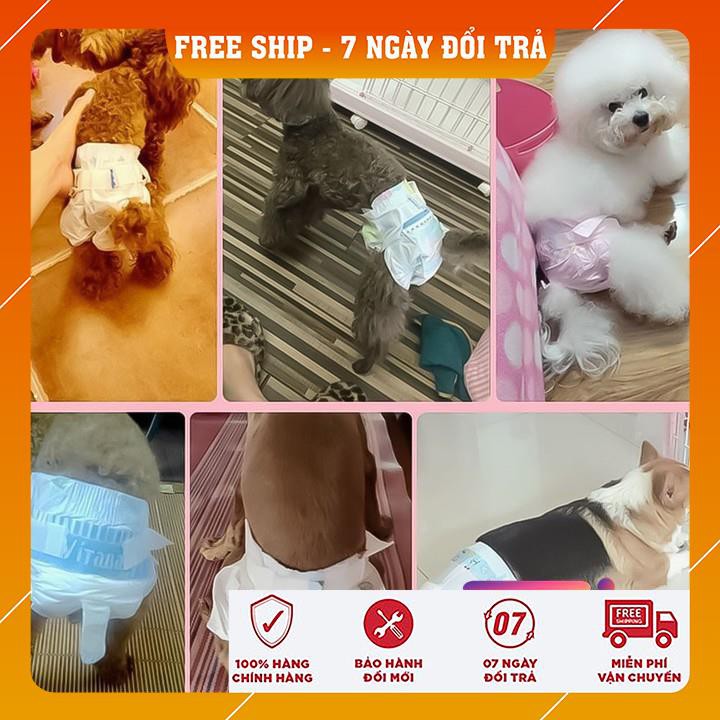 Tã Bỉm Cho Thú Cưng Cái ✔️BÁN BUÔN✔️ DONO CAO CẤP ĐẦY ĐỦ SIZE 0.5 - 15KG SIÊU THẤM HÚT VỚI LƯỢNG NƯỚC LÊN ĐẾN 250ML