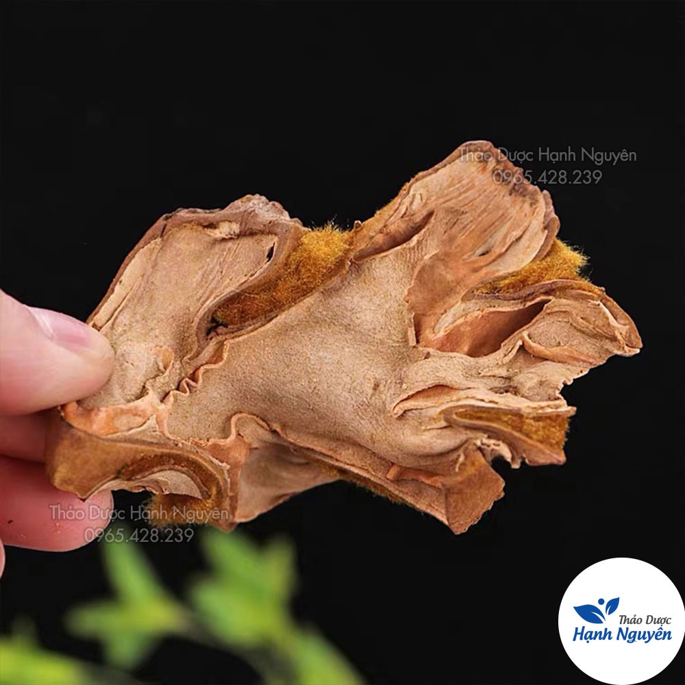 Cẩu tích chưa chế 100g (Cây lông culi giảm tiểu đêm, mạnh gân cốt) - Thảo Dược Hạnh Nguyên