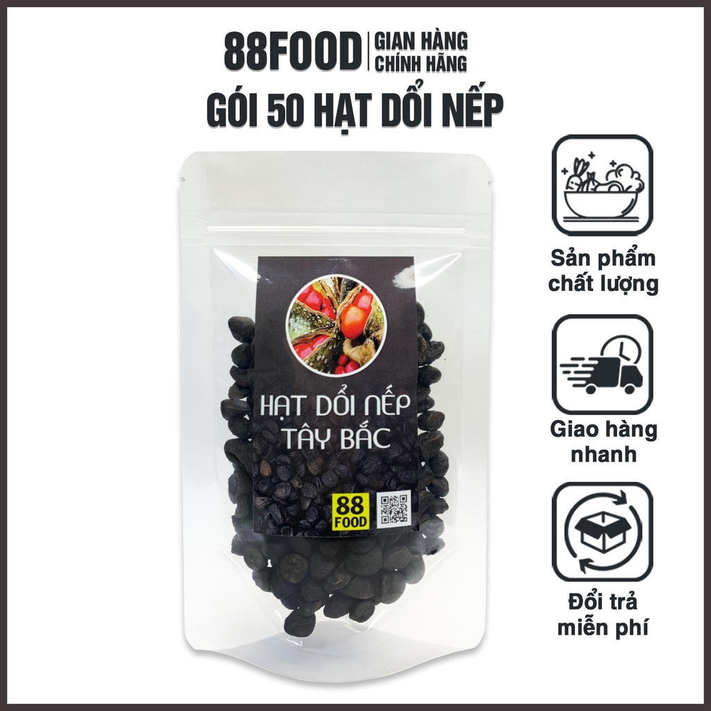 500g Hạt Dổi Nếp Rừng Cổ Thụ Chính Gốc Tây Bắc
