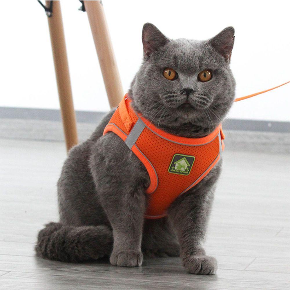 Dây Dắt Thú Cưng Đi Dạo Bằng Nilon Phối Lưới Thoáng Khí Phản Quang Size XS-XL