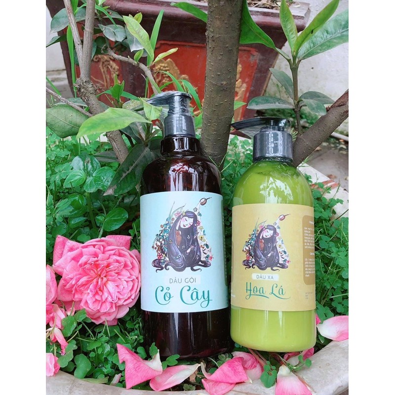 Cặp dầu gội/ xã dược liệu