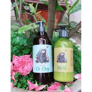 Cặp dầu gội/ xã dược liệu
