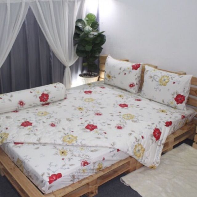 Bộ Drap cotton TL 4 món 1m8x2m