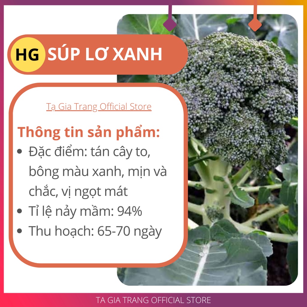 Hạt giống súp lơ xanh (bông cải xanh) - Gói 0.1gr