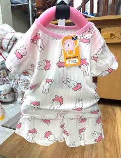 Bộ cotton giấy quảng châu