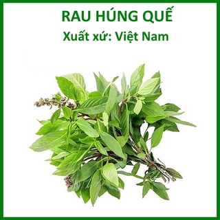 Hạt Giống Rau Quế Lá To 10gr