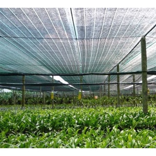LƯỚI CHE NẮNG THÁI LAN khổ 2m*3m=6m2