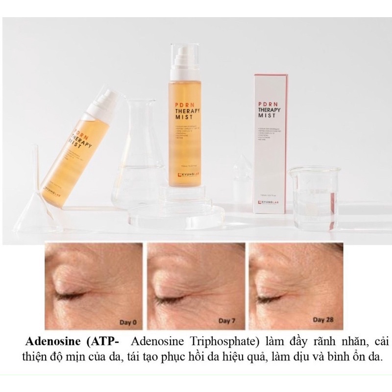 Xịt khoáng tế bào gốc Kyung Lab PDRN Therapy Mist 150ml