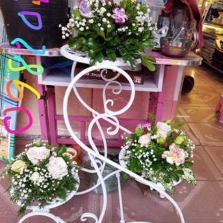 Kệ Cây 3 tầng cực đẹp