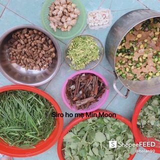 SIRO BẢO BẢO