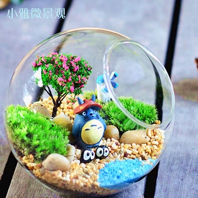 Phụ kiện trang trí tiểu cảnh