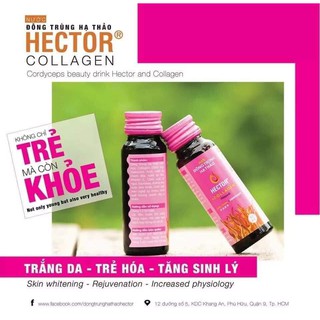 (Chính Hãng) Nước Đông Trùng Hạ Thảo Hector Collagen Hộp 10 Chai 50ml