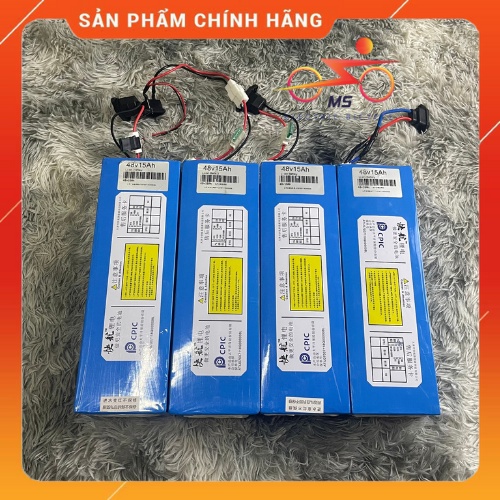 Pin Lithium 48V Chính Hãng - Pin Nhập Khẩu Tận Gốc Tại Nhà Máy - Hàng Loại 1 - Bảo Hành 2 Năm