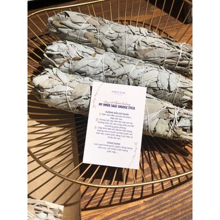 Noscere | Cây xô thơm trắng White Sage