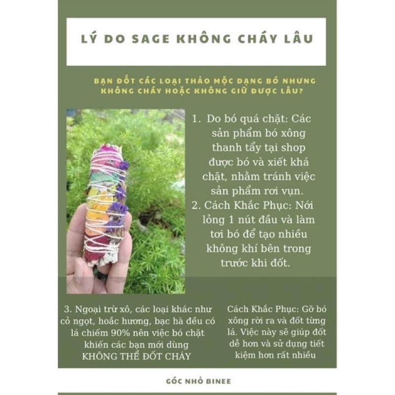 BÓ THANH TẨY NGÃI CỨU - thanh tẩy nhà cửa, tái tạo năng lượng, thảo mộc xông nhà