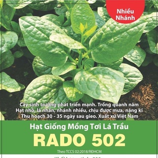 Hạt giống Mồng tơi lá trầu RD502 (20gr)