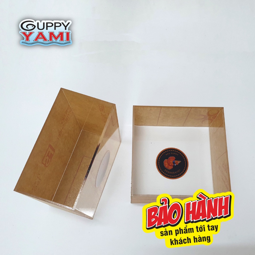 Hồ Show cá Guppy mica siêu trong - Bể Show cá Betta Acrylic - Keo Show cá Guppy, in tên theo yêu cầu giá xưởng 12x7x12