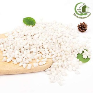 1kg đá sỏi màu trắng vừa - đá  trang trí trồng cây - trang trí bể cá - sân vườn