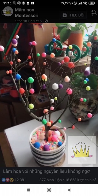 Túi quả pom pom Túi quả pompom