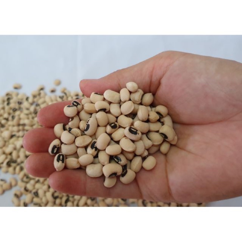 500g Đậu trắng bi Đà Lạt