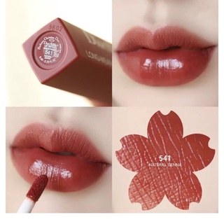 Son Dior Addict Lip Tatoo Màu 421-541-321 /Gom Oder