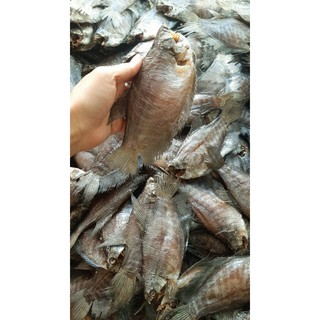 Sặc lò tho ,sặc bổi size 10 12 con kí bao ngon