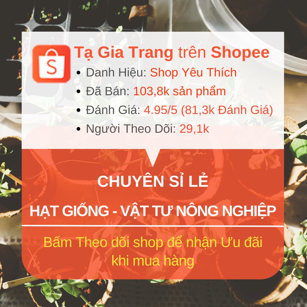 [Bán sỉ] - Hạt Giống Cải Mèo