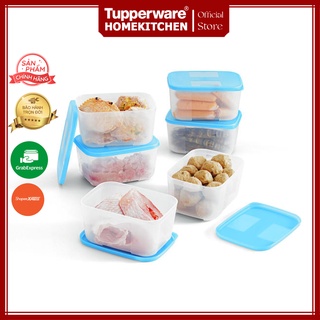 Bộ Hộp Trữ Đông Freezermate 650ml - Tupperware