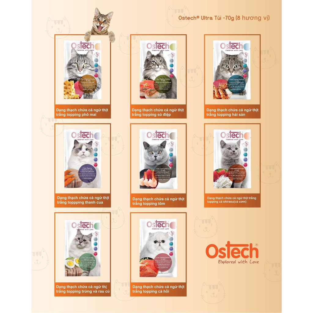 Pate cao cấp cho mèo Ostech Ultra Pounch Cat 70g