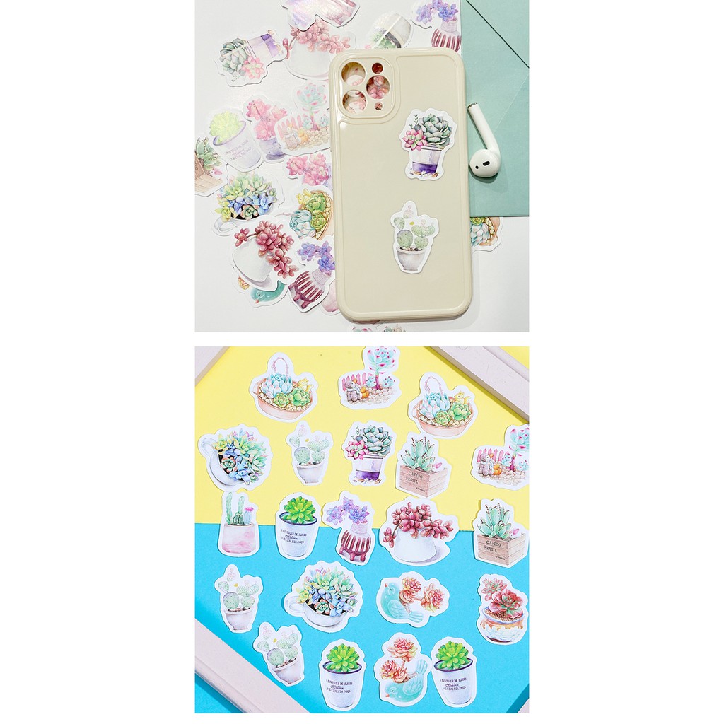 Sticker chủ đề Cây Xương Rồng Xanh - Hộp 45 miếng dán trang trí sổ tay Bullet Journal - M260