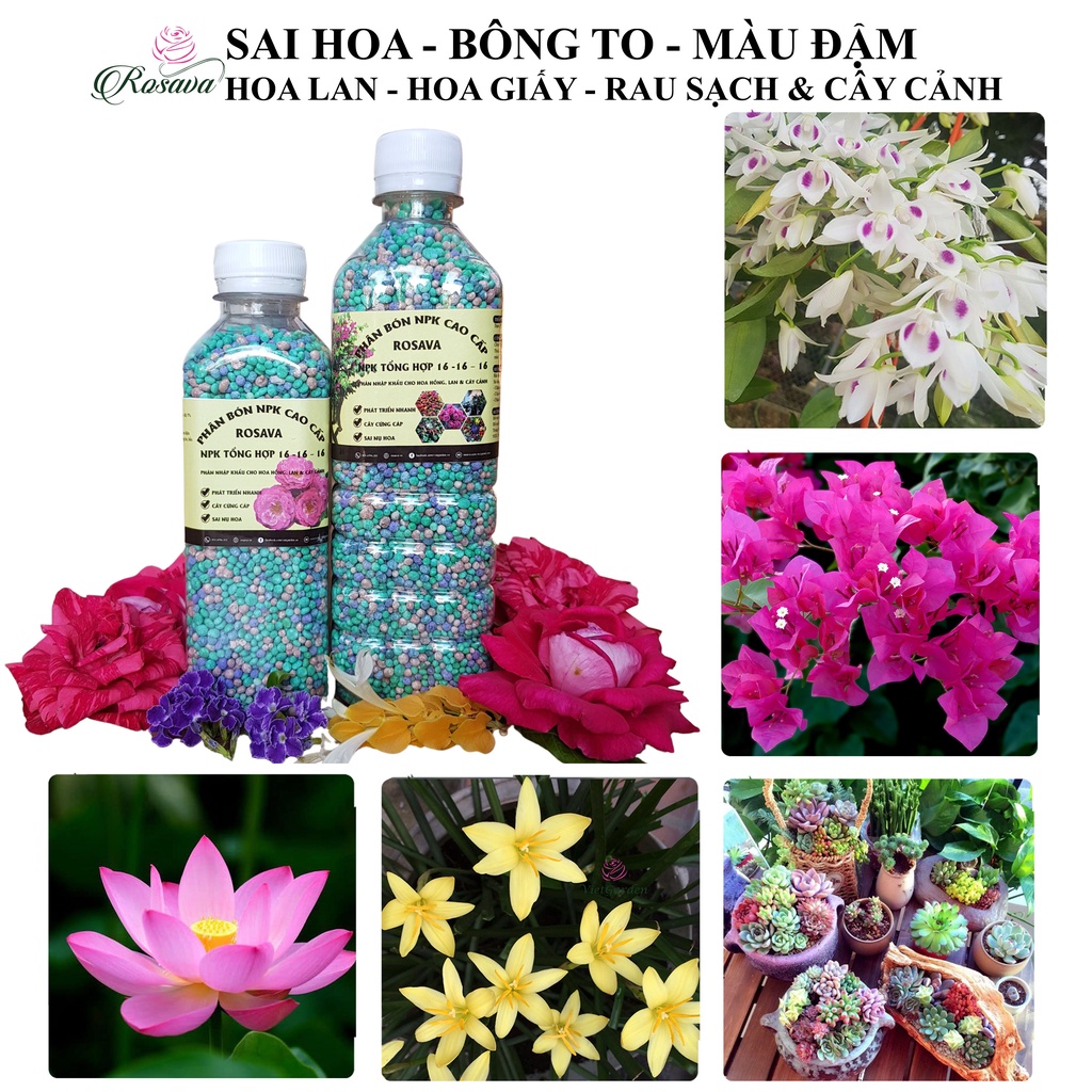 Phân npk, phân bón đầu trâu nhập khẩu cho hoa hồng, cây cảnh, hoa giấy, sen đá, hoa lan, rau