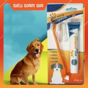 [GIÁ TỐT NHẤT] Bộ Đánh Răng Kem Đánh Răng Bàn Chải Đánh Răng Chó Mèo Pet Joothpaste - petshop số 01