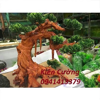 Mẫu tùng rủ có tán giả nhựa cho hồ cá