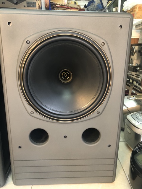 Loa TANNOY SYSTEM 12