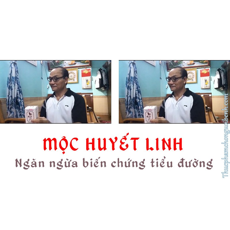 ⚡GIẢM GIÁ⚡ MỘC HUYẾT LINH - giảm đường huyết, tiểu đường