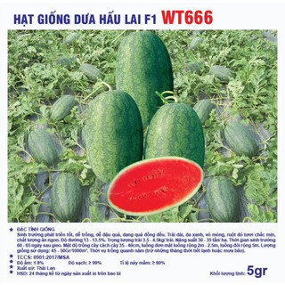 Hạt giống dưa hấu WT666