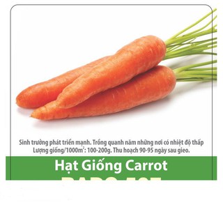 Hạt Giống Cà Rốt Củ To F1 - Giàu Vitamin 5gr