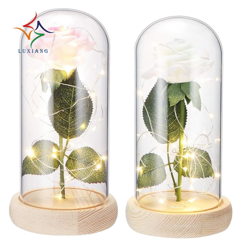 Galaxy Rose Flower Night Light in Glass Dome,Infinity Flowers for Office Home Women Mother's Valentine Day Gifts,Pink