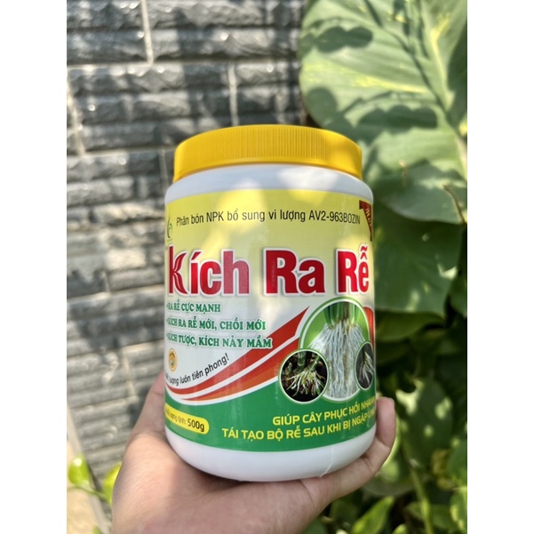 KÍCH RA RỄ BMFE RA RỄ CỰC MẠNH, KÍCH RA RỄ MỚI CHỒI MỚI, KÍCH TƯỢC, KÍCH NẢY MẦM