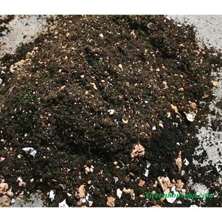 1kg Đất Trồng Sen Đá