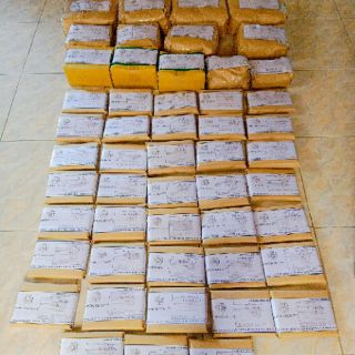  Combo 10 mặt nạ khổ qua rừng
