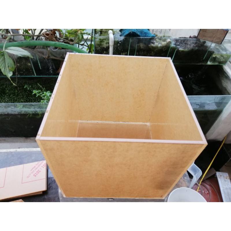 Bể siêu trong chất liệu Acrylic