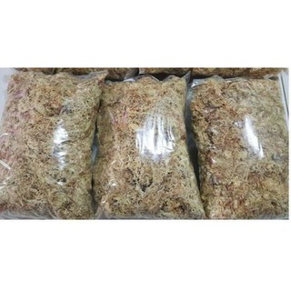 Dớn Chile dùng trồng lan, bó bâu, chiết cây 100gr