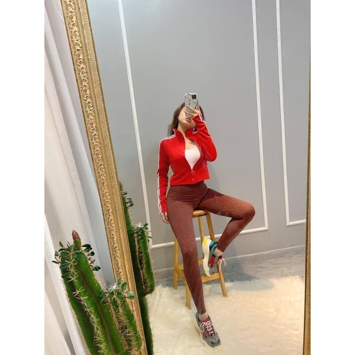 Áo khoác body thun poly 3 sọc